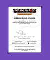 DIY Flying Drone (Ages 9+): Downloadable on Operation Sindoor